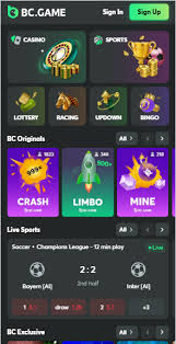 BC Game Withdrawal Methods Understanding Your Options BC Game Withdrawal Methods Understanding Your Options