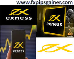 Understanding the Exness Rebate Program Maximize Your Trading Experience